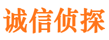 桂阳私家侦探公司